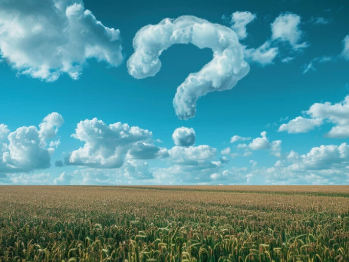 Life’s Most Important Question