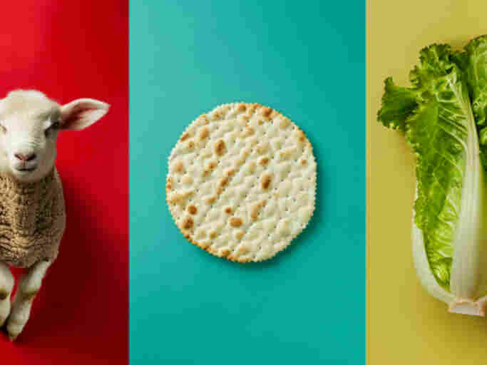 Passover’s Three Essential Ideas